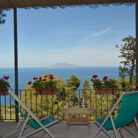 Le Ginestre Di Capri Bb & Holiday House Anacapri  Bagian luar foto