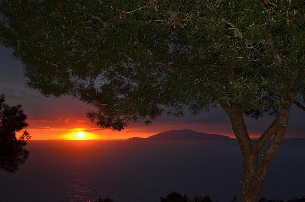 Le Ginestre Di Capri Bb & Holiday House Anacapri  Ruang foto