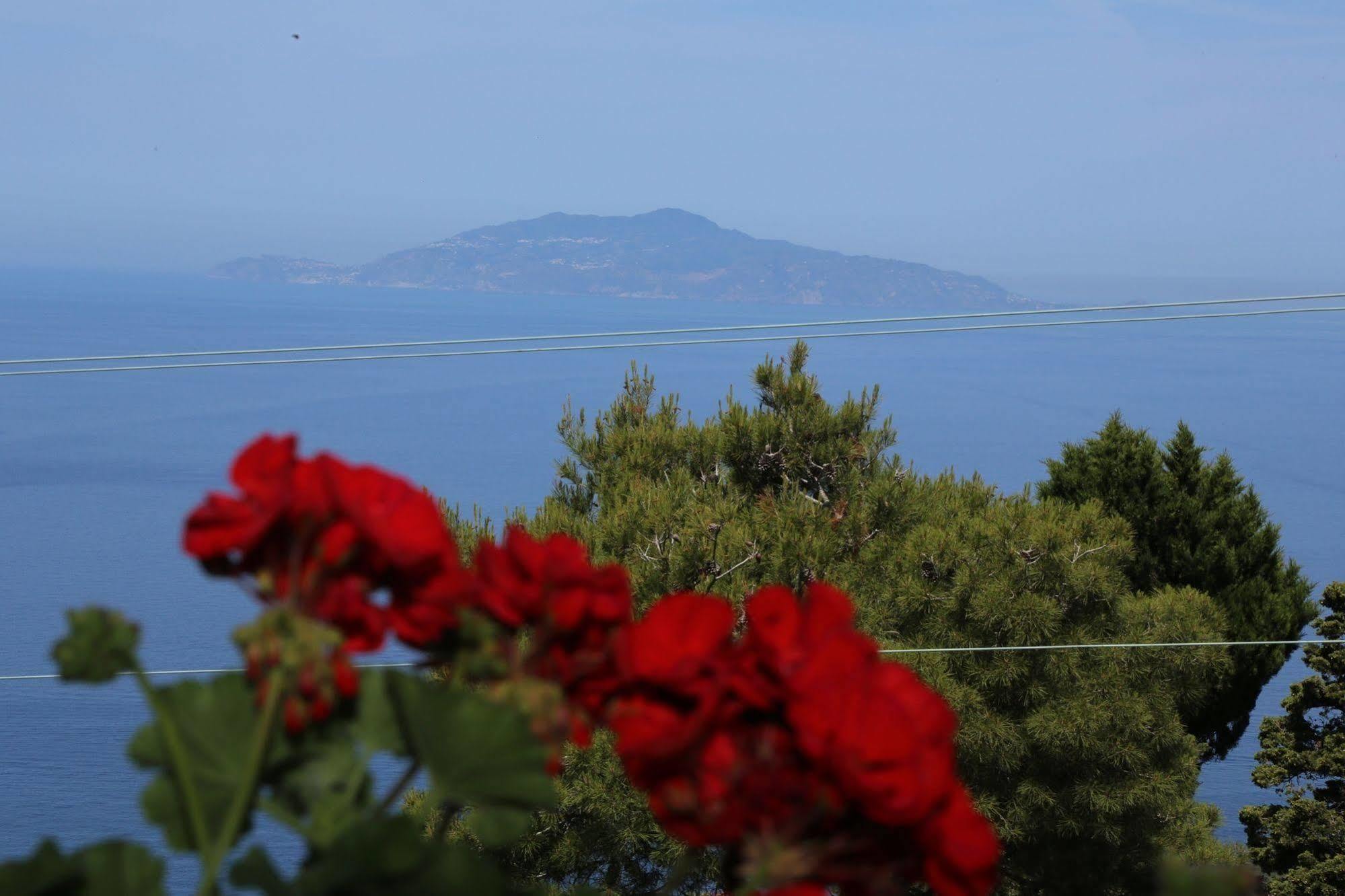 Le Ginestre Di Capri Bb & Holiday House Anacapri  Bagian luar foto